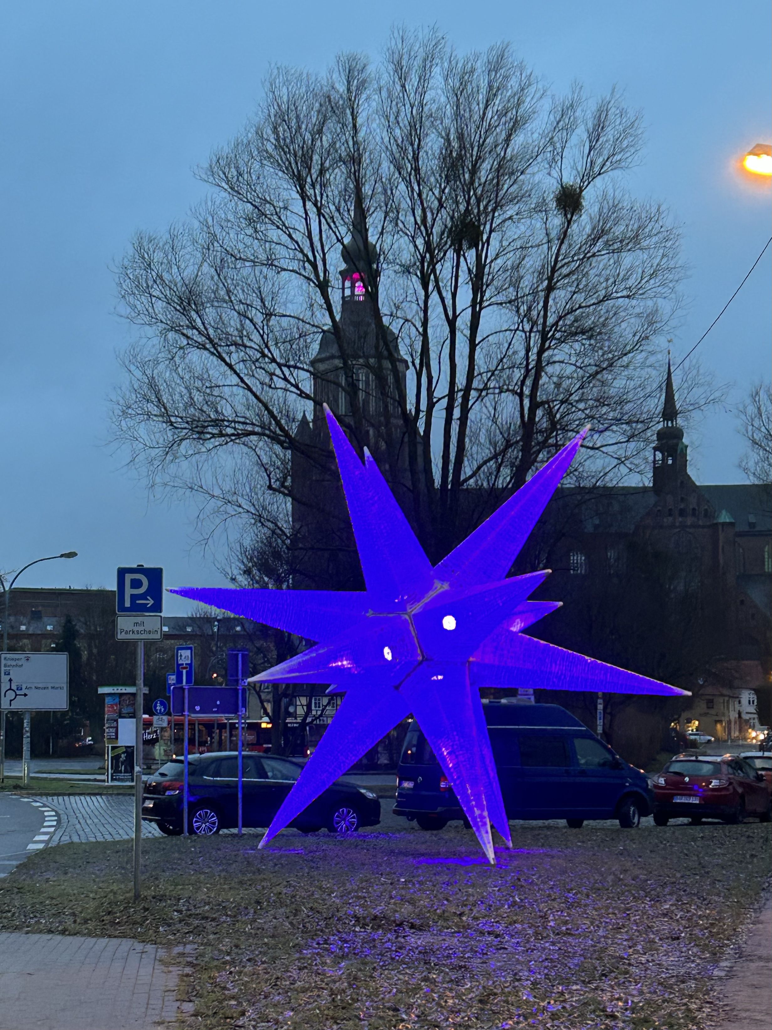 Weidendamm © Marion Stapf